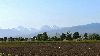 Cliquez ici pour voir l'image (IMG_20190520_170820 IMG_20190521_082737.jpg)